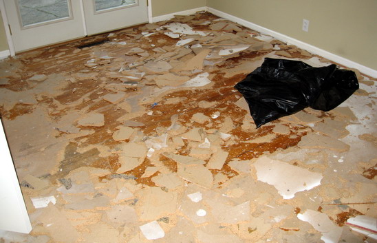 Floor with particle board