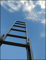 Climbing the ladder. Photo: iStockphoto