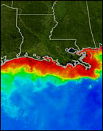 Mississippi - Gulf of Mexico dead zone