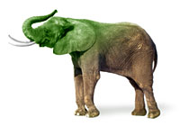 Greening the elephant