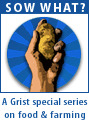 Sow What: A Grist special feature