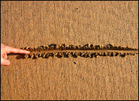 Drawing a line in the sand
