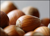 Hazelnuts are filberts too. Photo: Steffen Zahn via Flickr