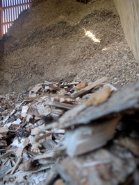 biomass: wood chips