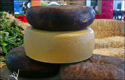 Cheese: a sample of Slow Food Nation's Taste Pavilion