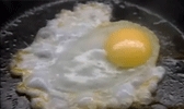 egg in frying pan
