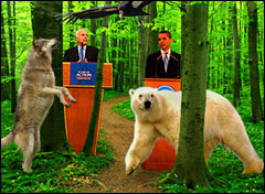 McCain and Obama on endangered species