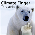 Polar Bear Says FU
