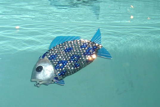 Robo-fish
