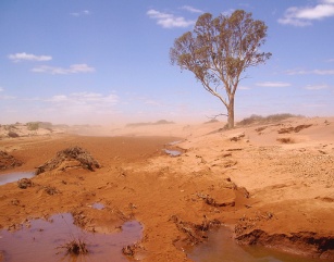 drought baren land