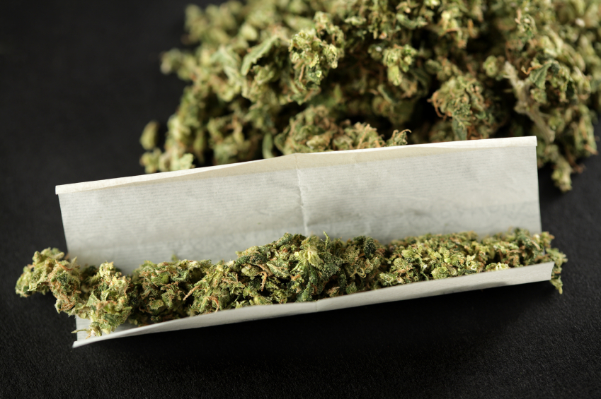 The straight dope on local, organic weed | Grist