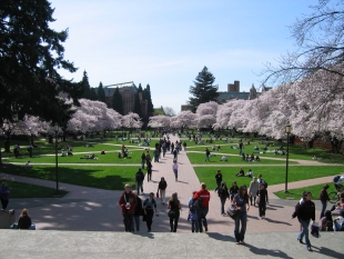 University of Washington.