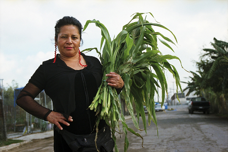 Kati Lopez with armload of fresh corn leaves.