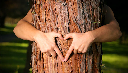 Arms hugging a tree