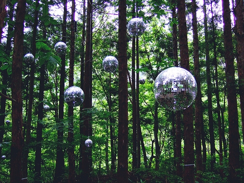 Disco forest.