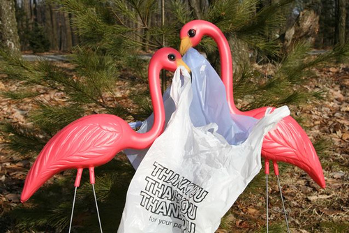 Garden flamingos picking up a plastic bag.