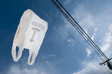 Plastic bag in the wind
