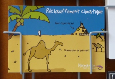 Mont St Michel avec camels