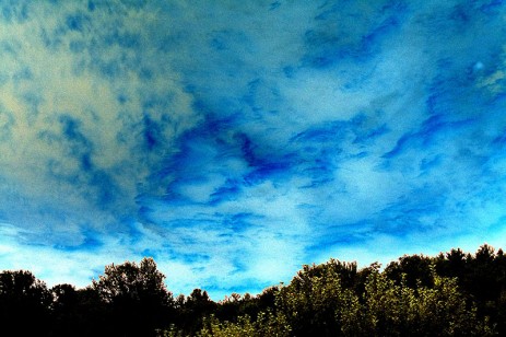 blue and green sky above trees
