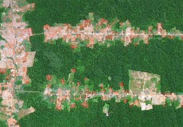 Satellite image of deforestation in the Amazon.