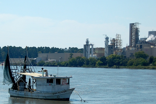 The Savannah River. 