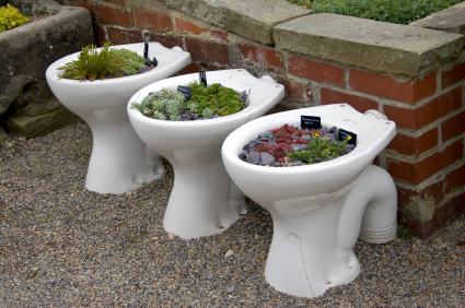 Toilet gardens. 
