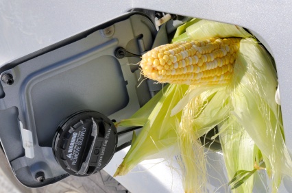 Corn in gas tank. 