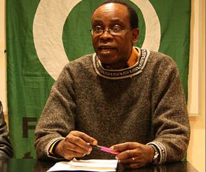 Nnimmo Bassey, chair of Friends of the Earth International