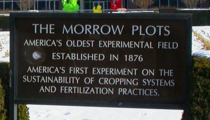 morrow plots