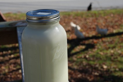Raw milk in a jar