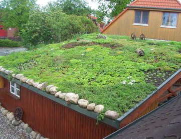 A green roof. 