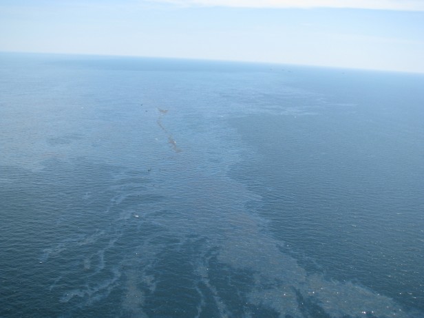 oil spill on Gulf of Mexico