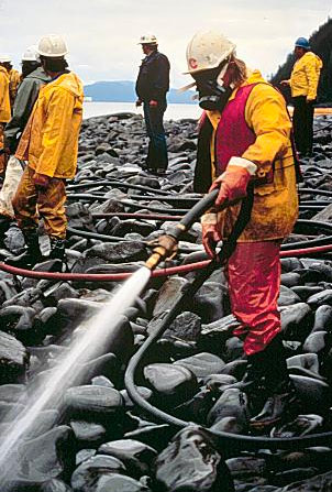 Cleanup efforts from Exxon Valdez