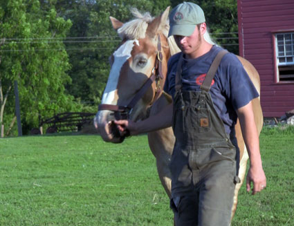 Horse farmer in New Jersey