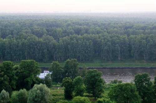 The Khimki forest.