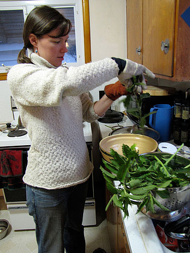 Cooking nettles