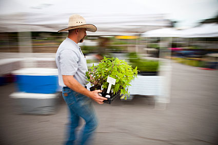 Man with plants at farmers market