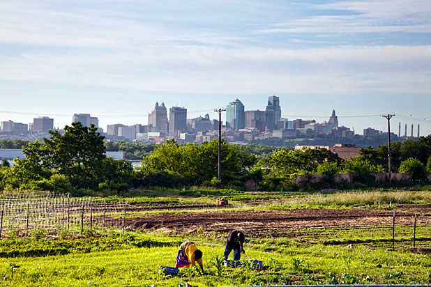 Urban farm and Kansas skyline