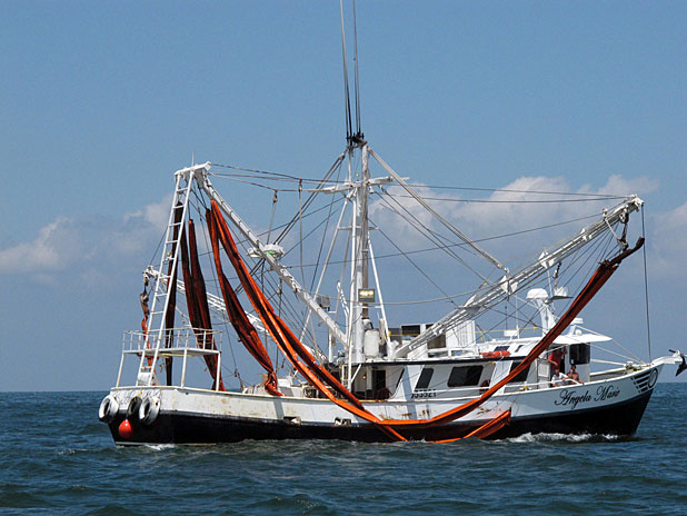Shrimpboat with oil booms