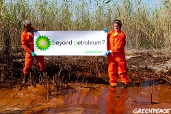 Image (1) oil-spill-bp-sign-marsh-Greenpeace.jpg for post 37416