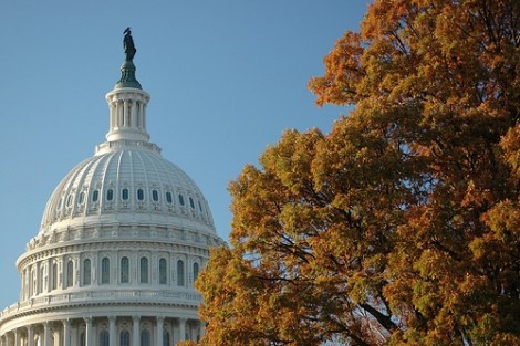 Image (1) us_capitol_tree_flickr_via_Photo_Phiend.jpg for post 37621