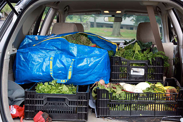 Car filled with greens