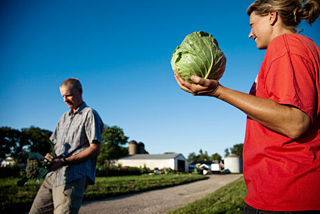 Farmer with cabbage