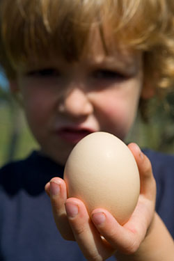 Boy with egg