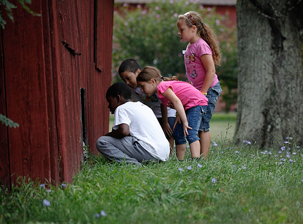 Kids looking in barn