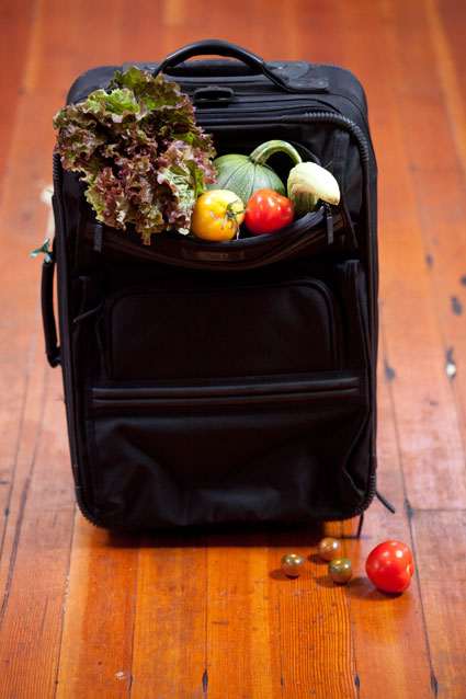 Suitcase of veggies