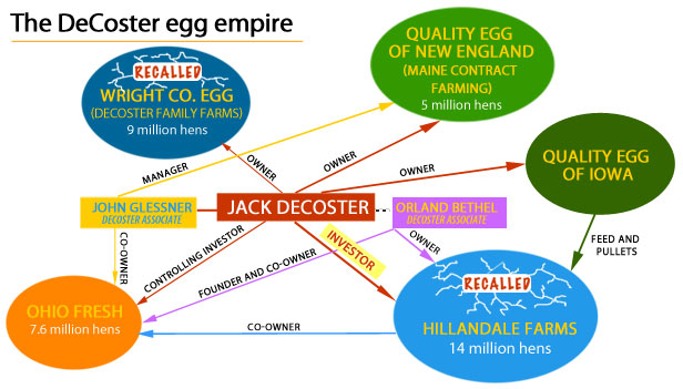 Egg industry infographic