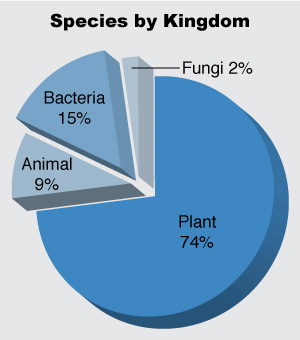 Species by kingdom chart