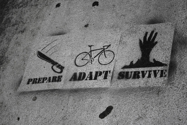 prepare adapt survive bike graffiti