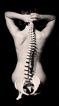 Woman's spine